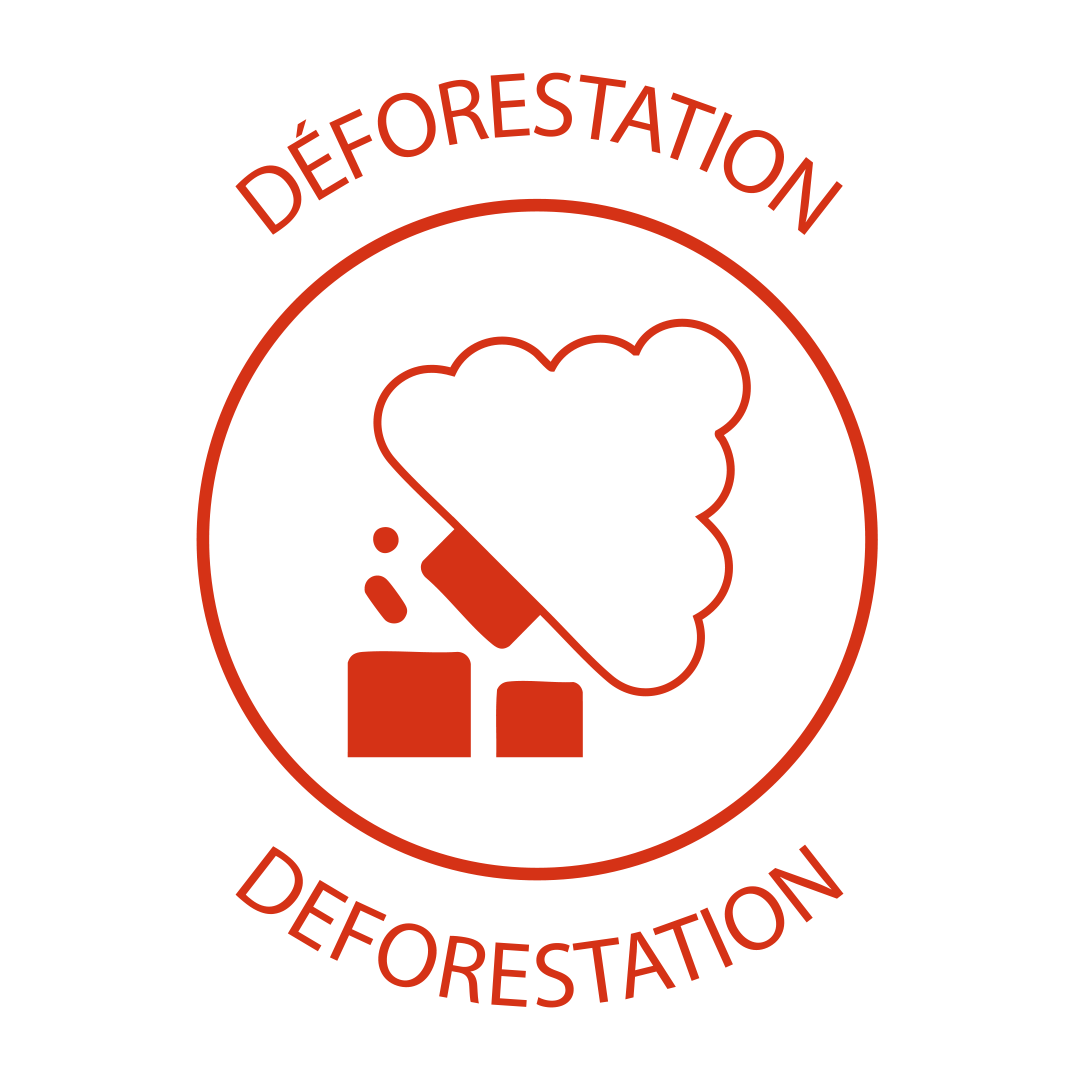 Déforestation
