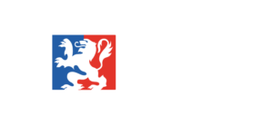 ville de lyon-01
